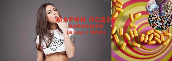 герыч Ельня