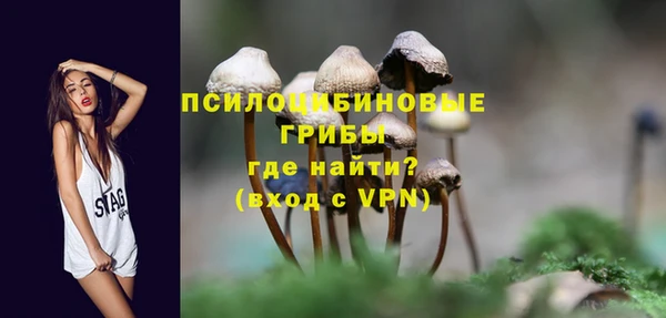 Альфа ПВП Елабуга