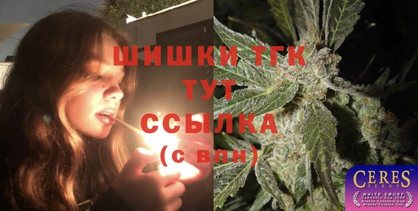 Альфа ПВП Елабуга