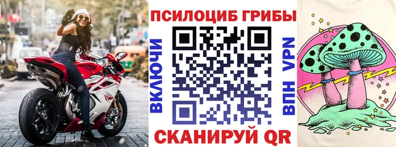 Псилоцибиновые грибы MAGIC MUSHROOMS Камызяк