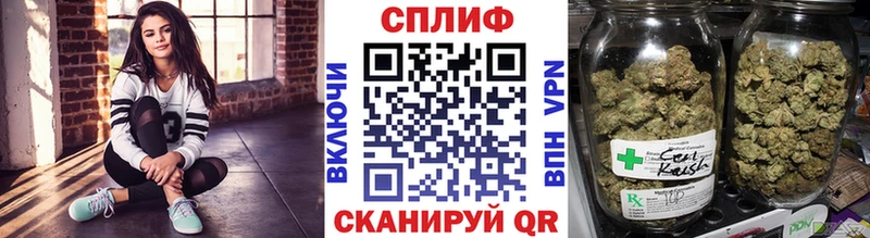 Бошки Шишки White Widow  Купить где  Камызяк 